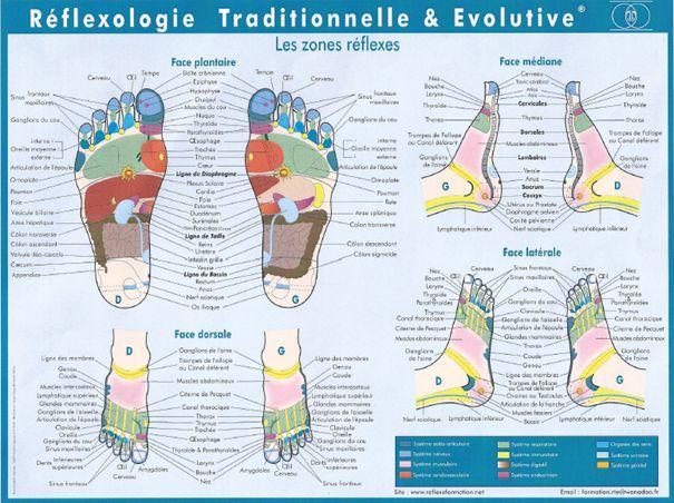 Carte des pieds de reflexologie